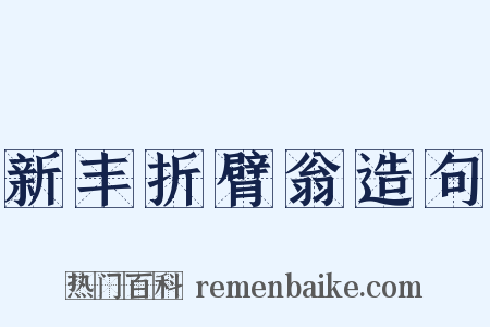 新丰折臂翁造句是什么意思的图片